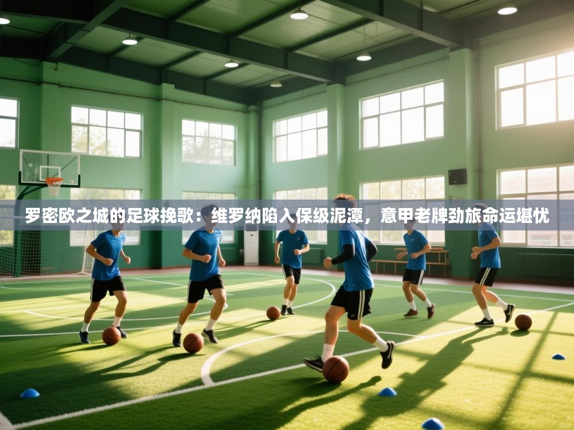 罗密欧之城的足球挽歌：维罗纳陷入保级泥潭，意甲老牌劲旅命运堪忧  第1张